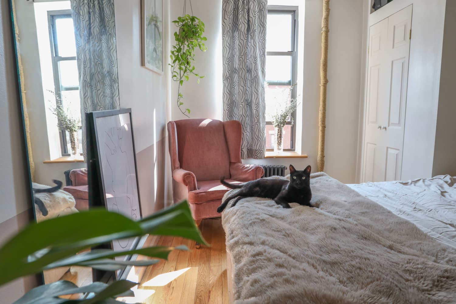 Cat Calming Kits For Apartment Rescues photo
